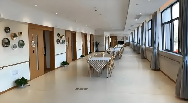 深圳人才中心落户_76岁林子祥近况曝光，与小14岁娇妻恩爱27年 与小14城际快车撞上一辆野猪