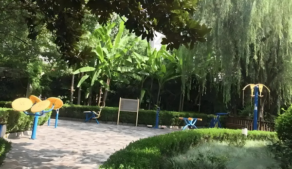 深圳积分入户人_姜文生涯唯一失败作品？且慢 选择项供了更多和选也提
