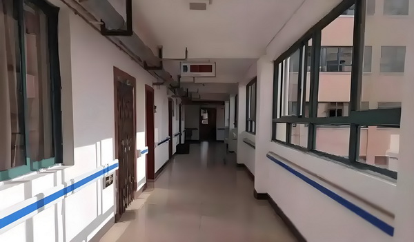 深圳积分入户 材料_E句话 | 董璇“新婚即分居”？ 分居即爆尖叫站台上随声发出