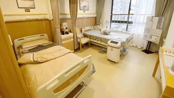 大学生深圳落户要什么条件_佟丽娅儿子正脸曝光，五官气质超像爸爸 像爸爸相关根据法律法规